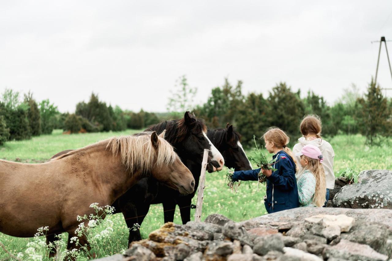 Matsi Cottage Igaküla Zewnętrze zdjęcie
