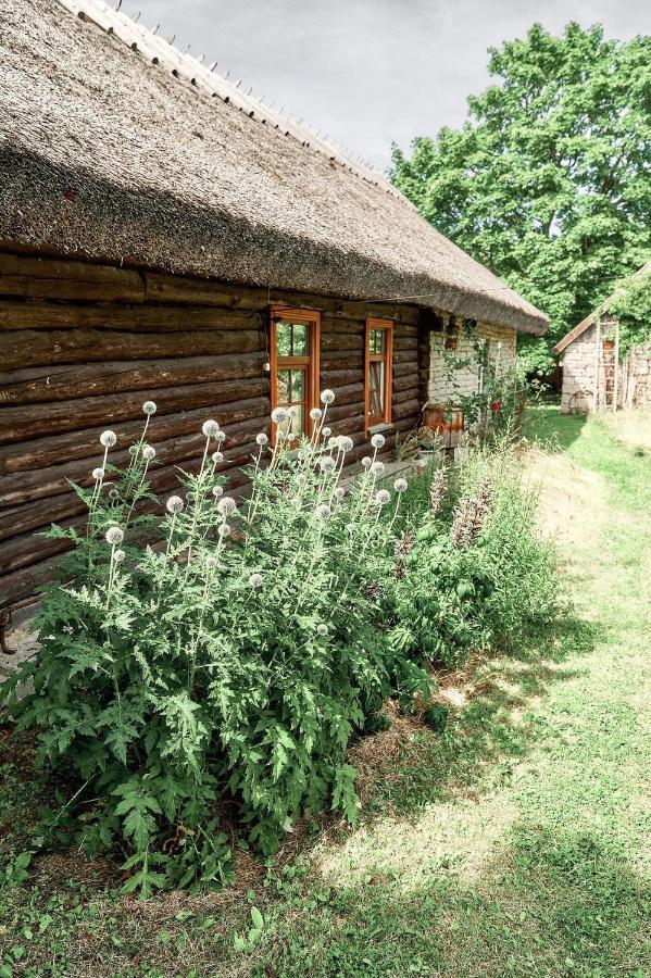 Matsi Cottage Igaküla Zewnętrze zdjęcie