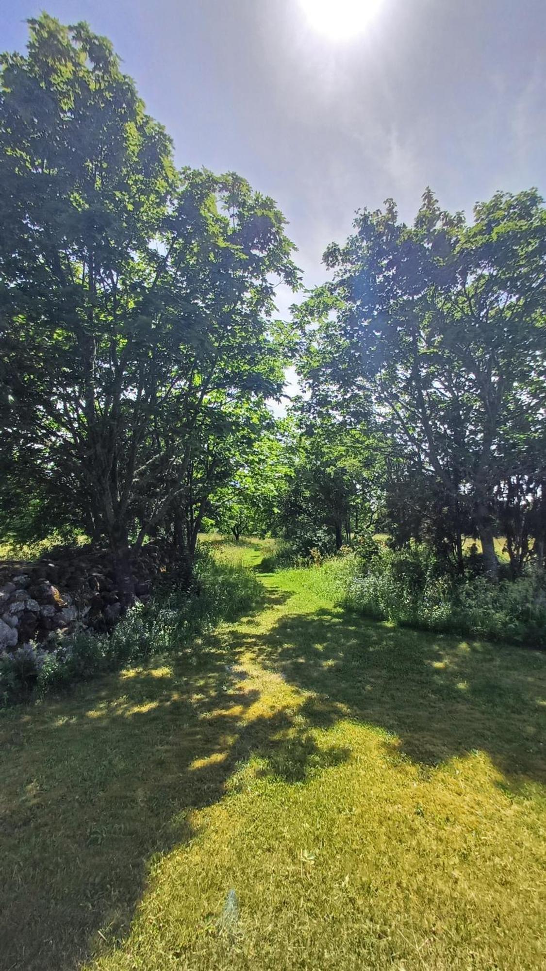 Matsi Cottage Igaküla Zewnętrze zdjęcie